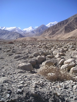 PA290065.JPG