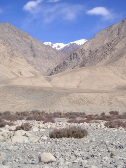 PA290067.JPG