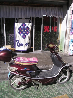 P1010005.JPG