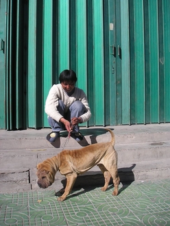 P1010006.JPG