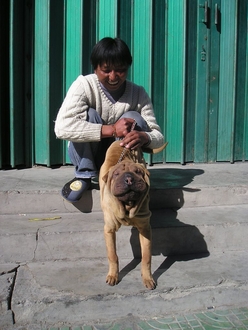 P1010007.JPG