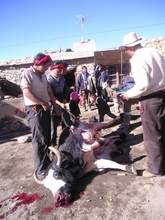 P1010021.JPG