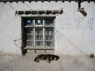 Tingri