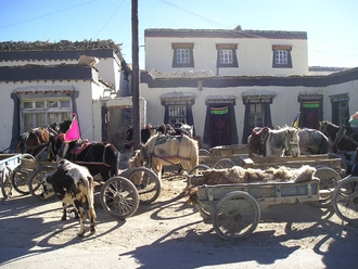 Tingri