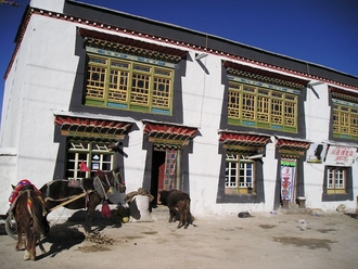 Tingri