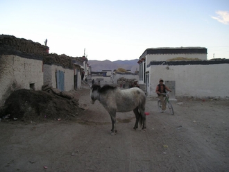 Tingri