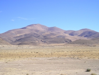 cesta