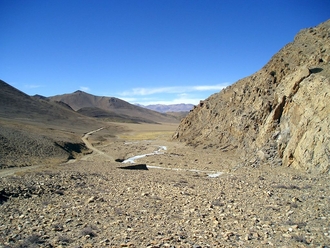 cesta
