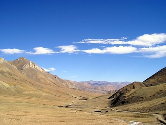 cesta
