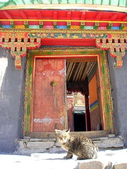 Rongphu Monestry