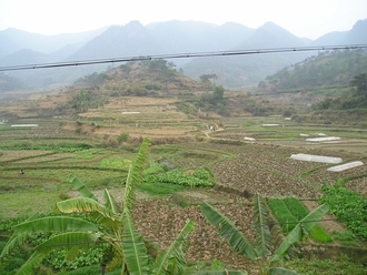 china-04.jpg