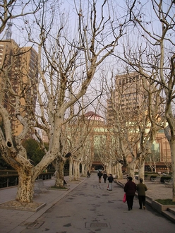 china-43.jpg