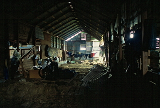 Island_027.jpg
