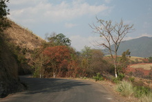 IMG_0624.JPG