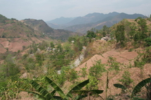 IMG_0652.JPG