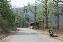 IMG_0655.JPG