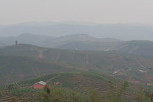IMG_0718.JPG