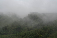 IMG_0866.JPG