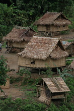 IMG_0884.JPG