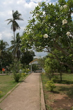 IMG_0994.JPG