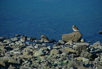 Island_076.jpg