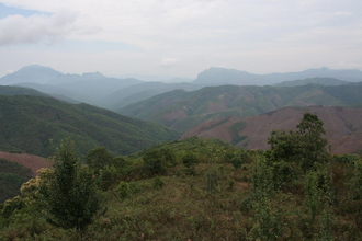 IMG_1313.JPG