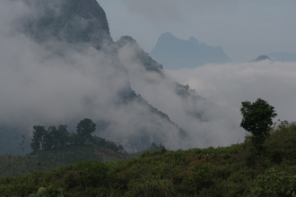IMG_1375.JPG