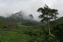 IMG_1383.JPG