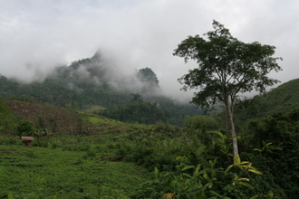 IMG_1383.JPG