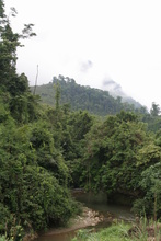IMG_1384.JPG