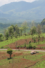 IMG_1403.JPG