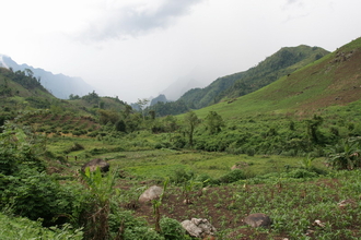 IMG_1415.JPG
