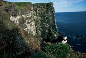 Island_101.jpg