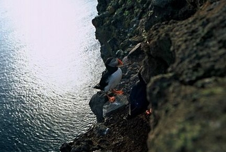 Island_102.jpg