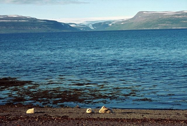 Island_130.jpg