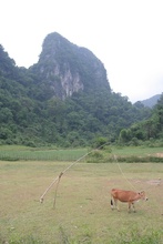 IMG_1905.JPG