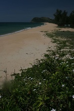 IMG_1991.JPG