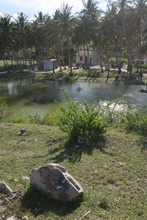 IMG_2000.JPG