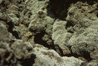 Island_203.jpg