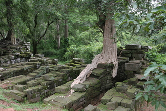 IMG_2641.JPG