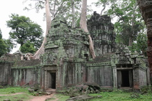 IMG_2652.JPG