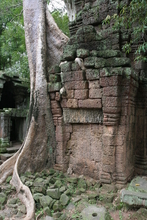 IMG_2653.JPG