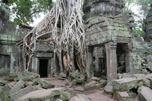 IMG_2658.JPG