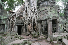 IMG_2658.JPG