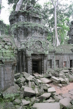 IMG_2660.JPG