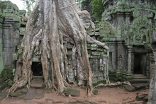 IMG_2672.JPG