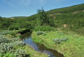 Island_222.jpg