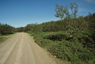 Island_225.jpg