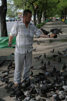 IMG_2862.JPG