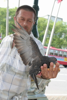 IMG_2866.JPG
